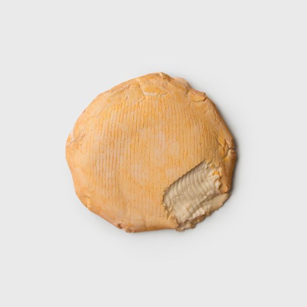 Fromi - Préféré de nos Montagnes French Cheese - 120251 17.64 oz (500 g) wrap - Top, sliced, on gray