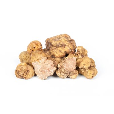 Italian Fresh White Spring Truffle
