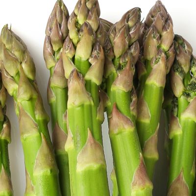 Asparagus Buds 