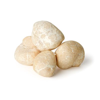 Fresh Hungarian Honey Truffles